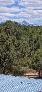 Treed Acreage on Loghill Mesa