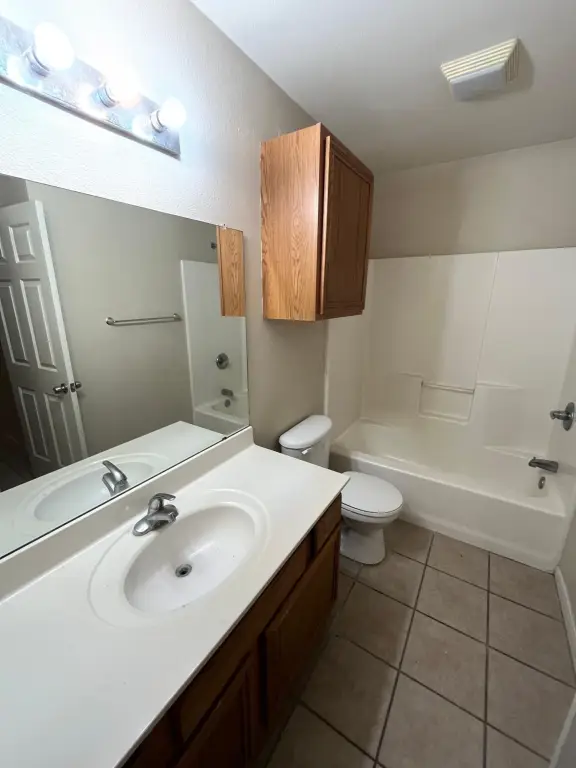 Picture 8