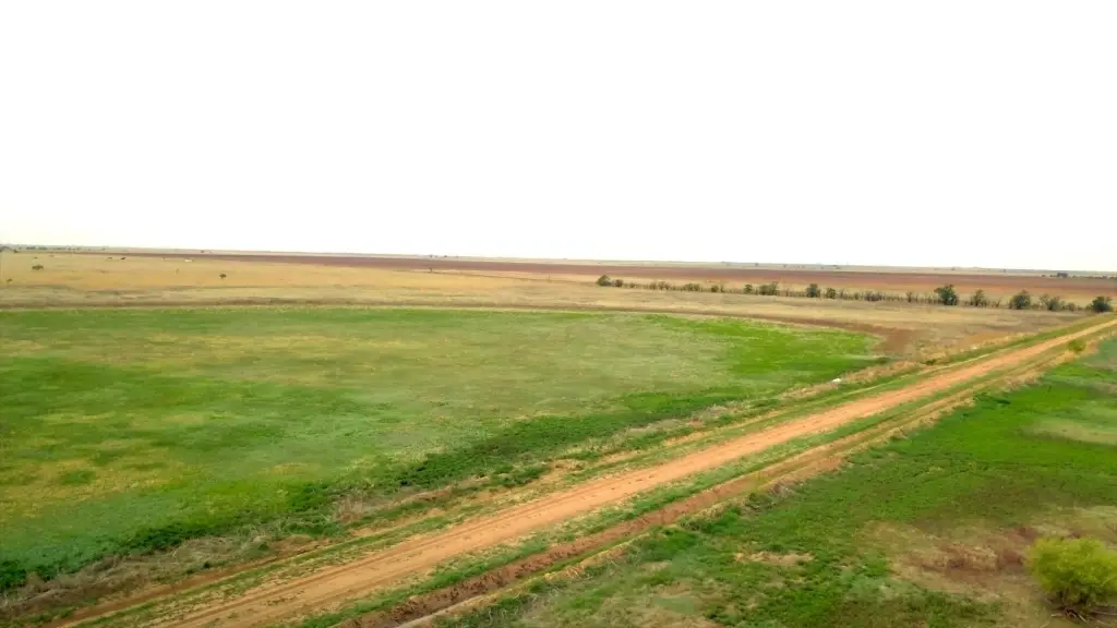 Picture 9