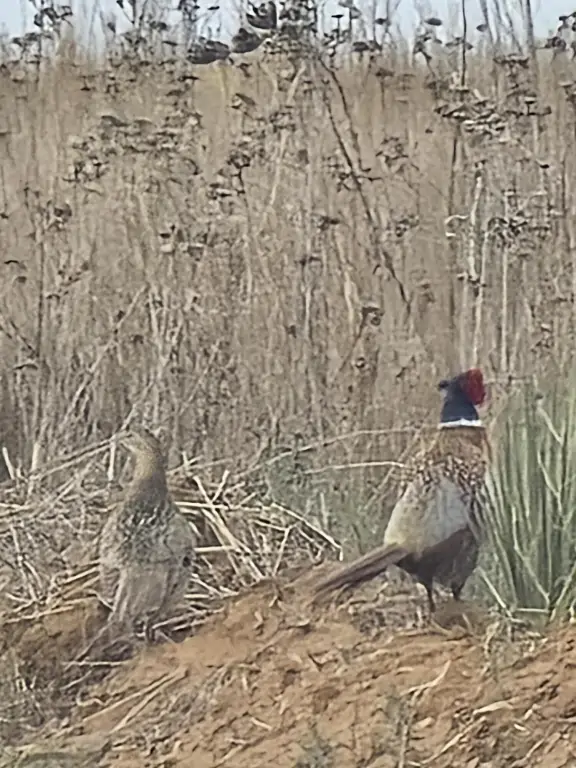 Picture 5