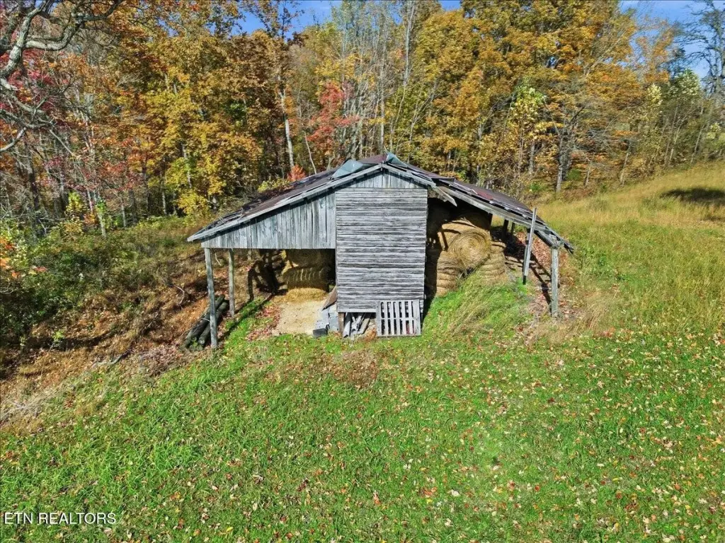 Picture 11