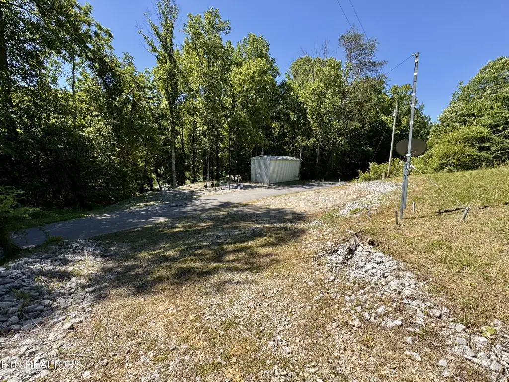 Picture 45