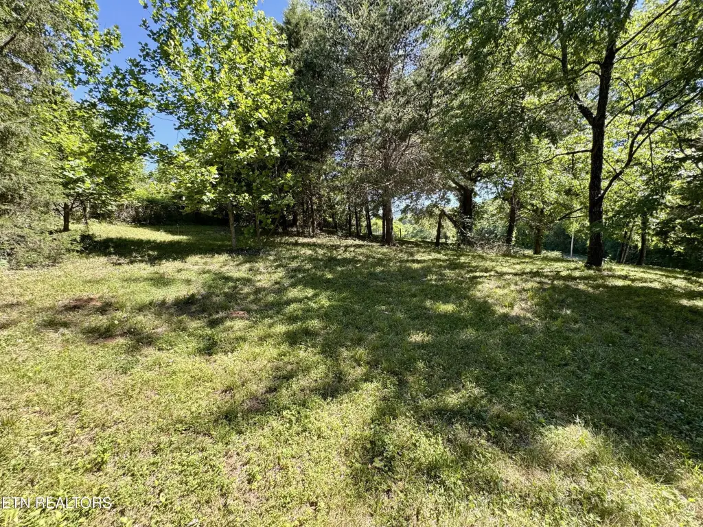 Picture 41
