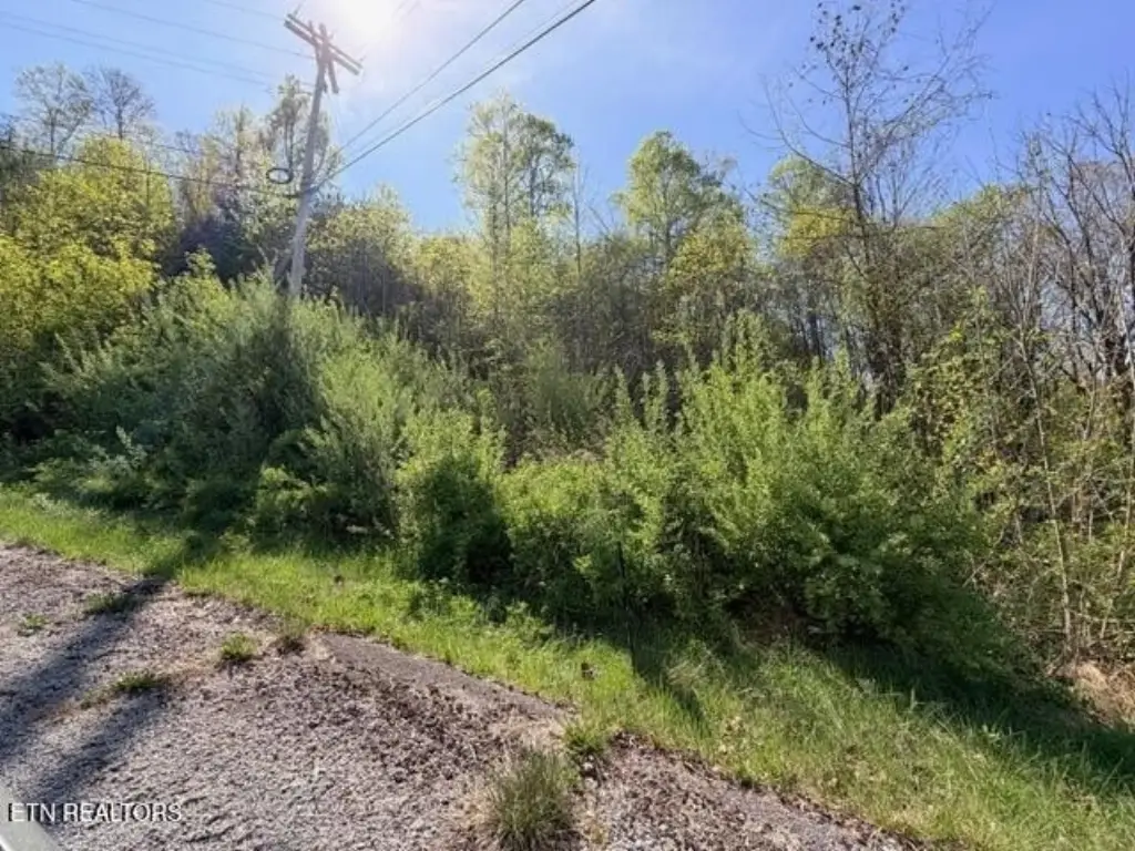 Picture 11