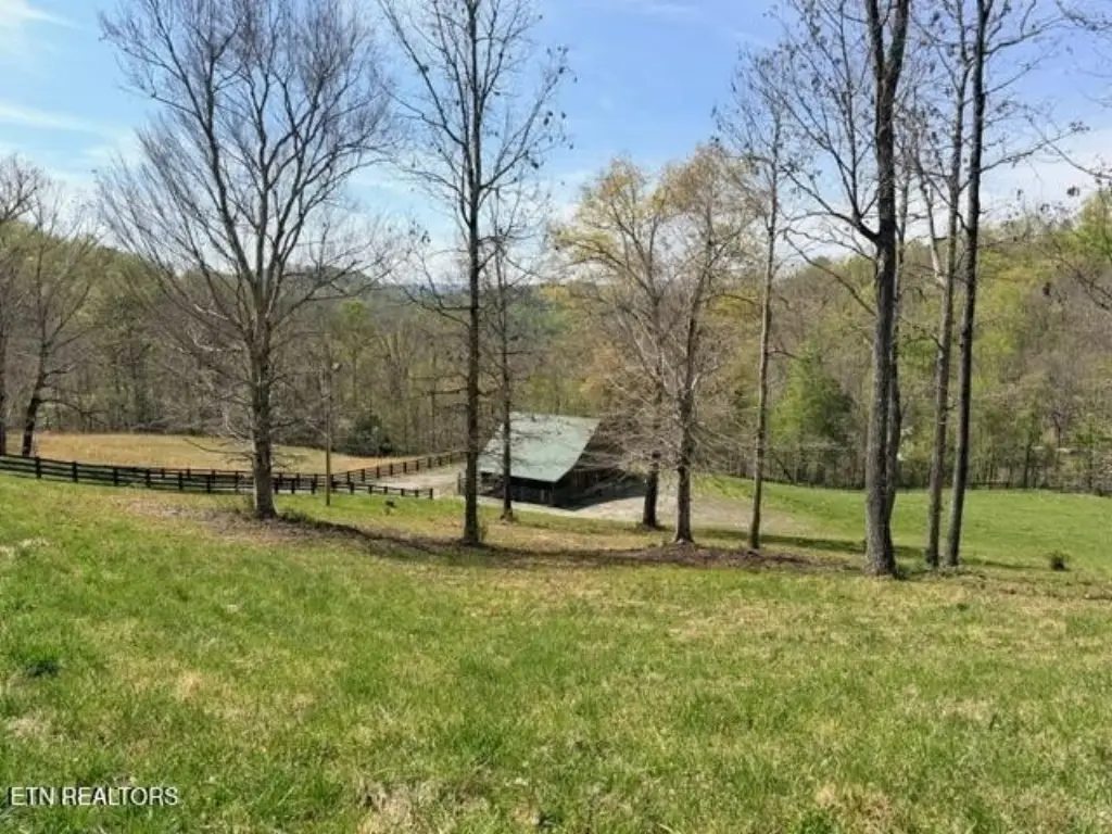 Picture 16