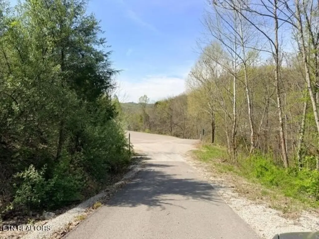 Picture 19