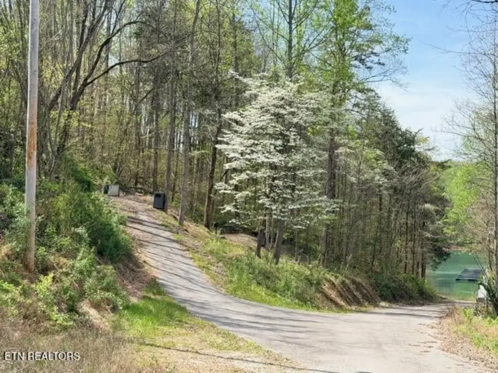 Picture 20