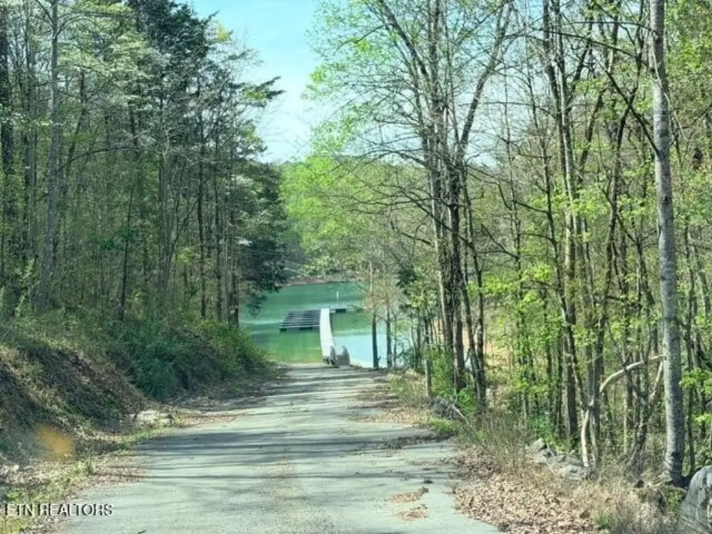 Picture 21