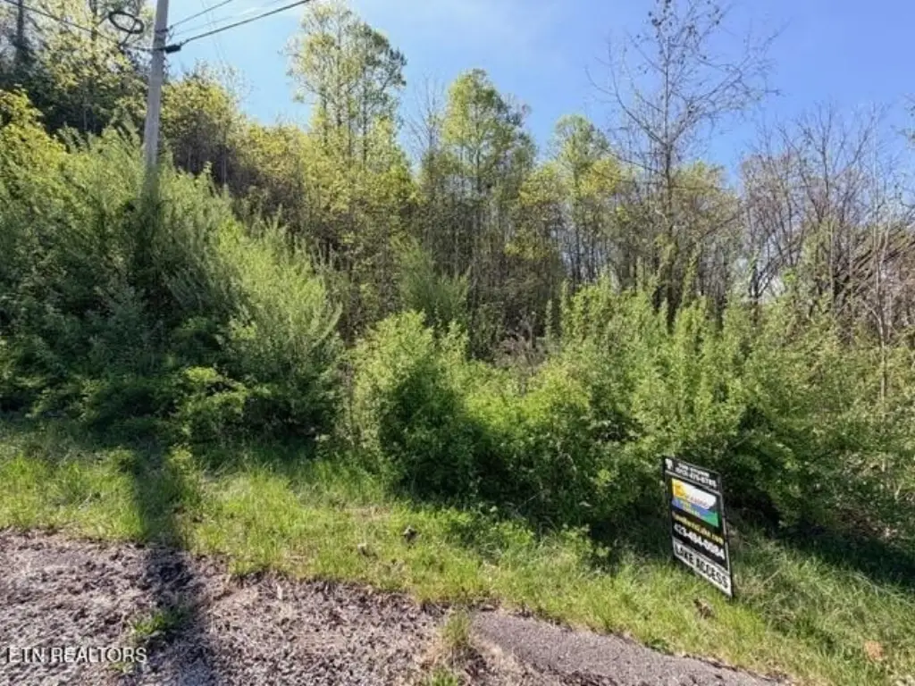 Picture 10