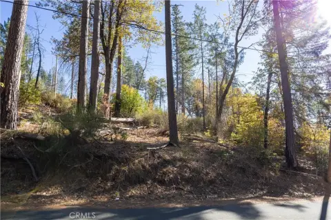 Land in Cobb Mountain Area