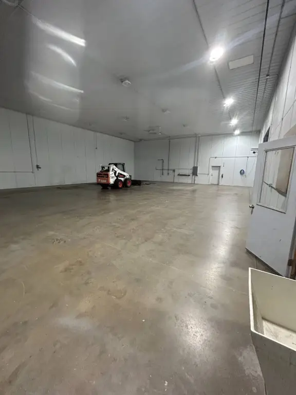 Picture 5
