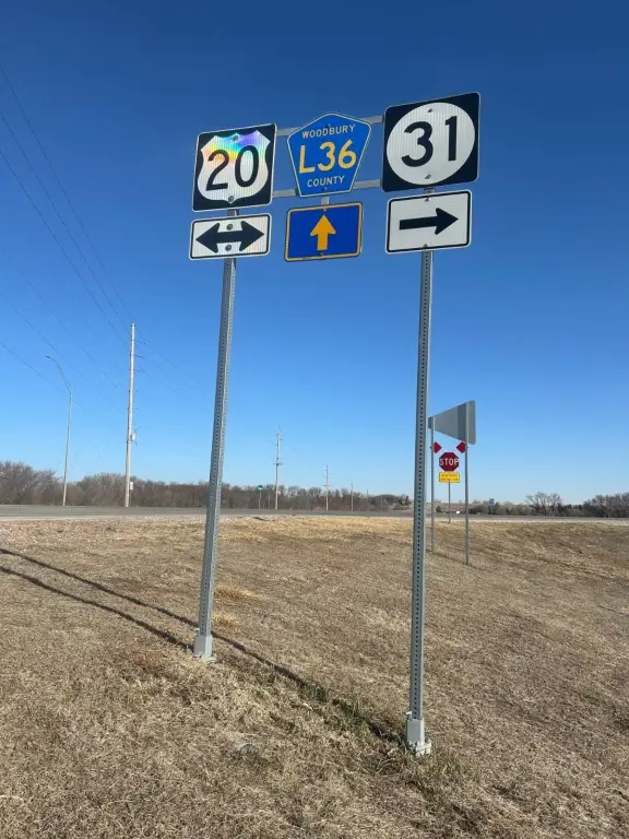 Picture 19