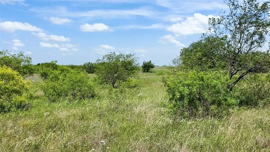 Picture 24