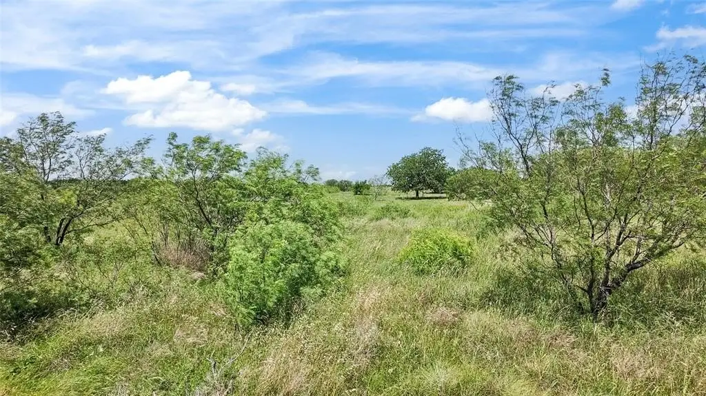 Picture 22
