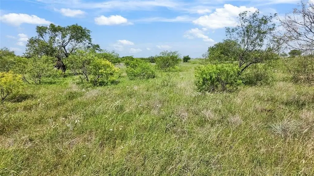 Picture 23
