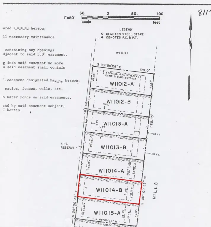 Picture 5