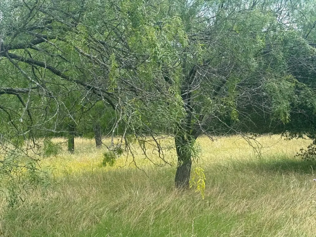 Picture 3