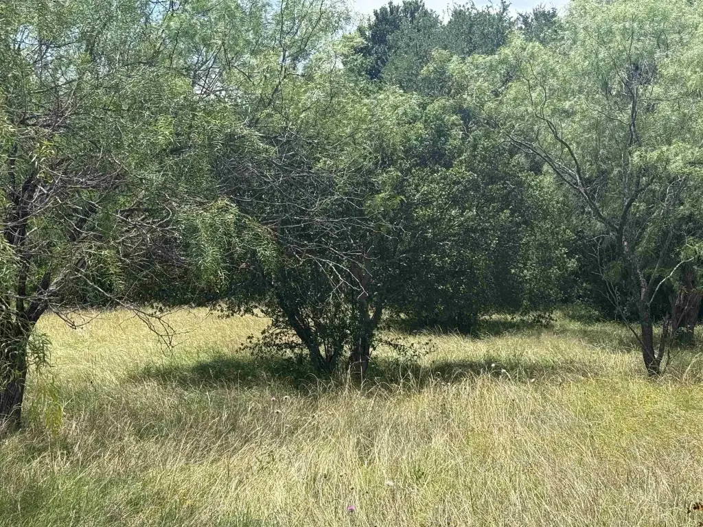 Picture 3
