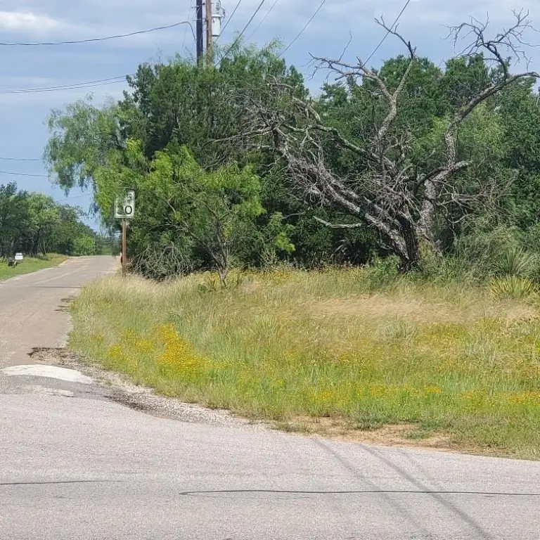 Picture 5