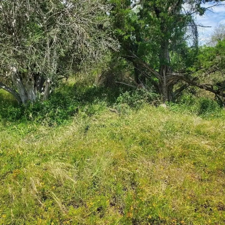 Picture 6