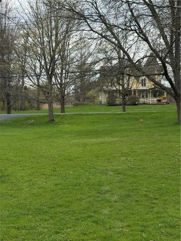 Picture 10