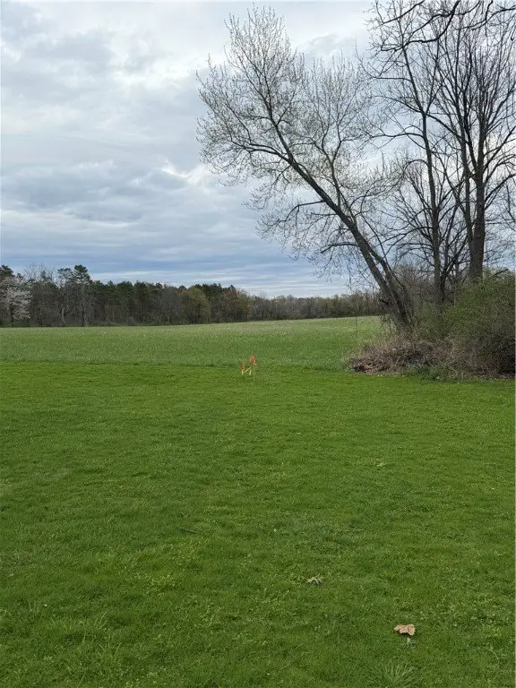 Picture 11