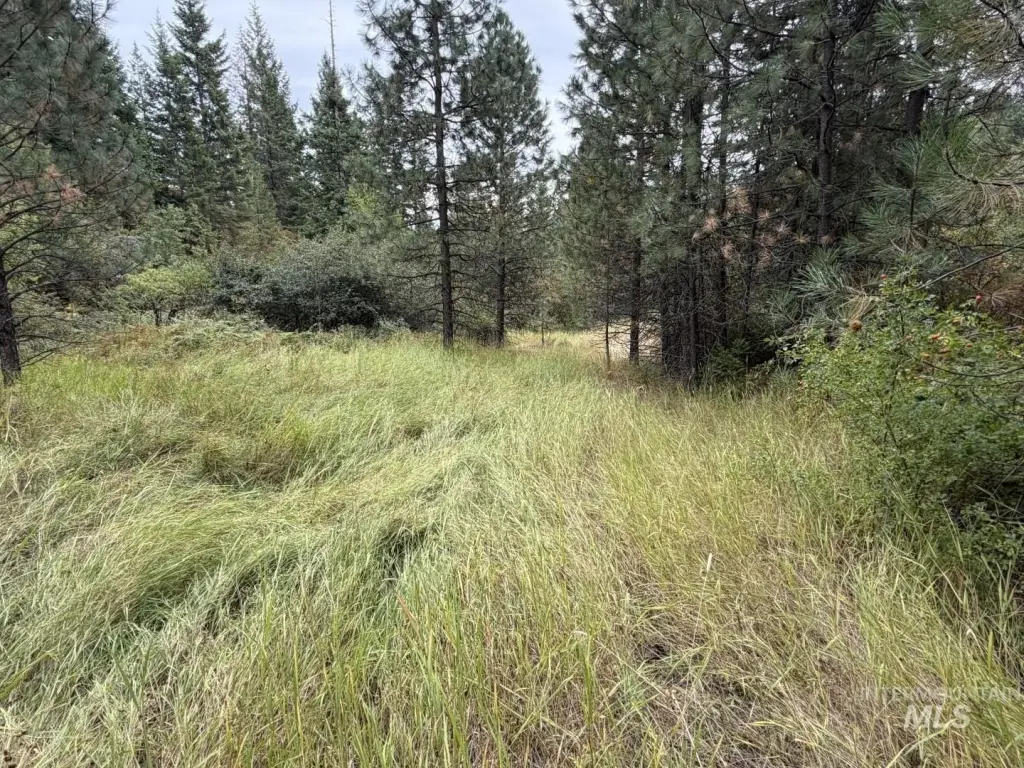 Picture 9