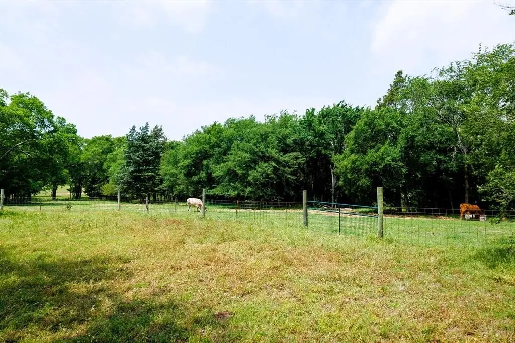 Picture 11