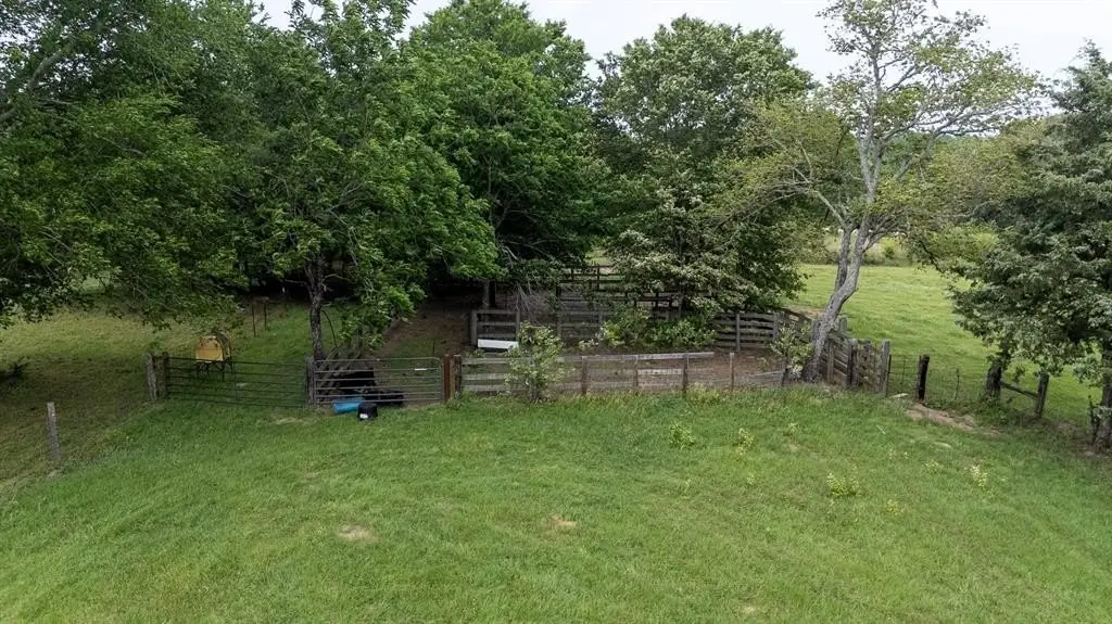 Picture 10