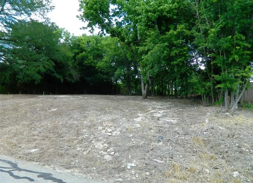 Picture 3