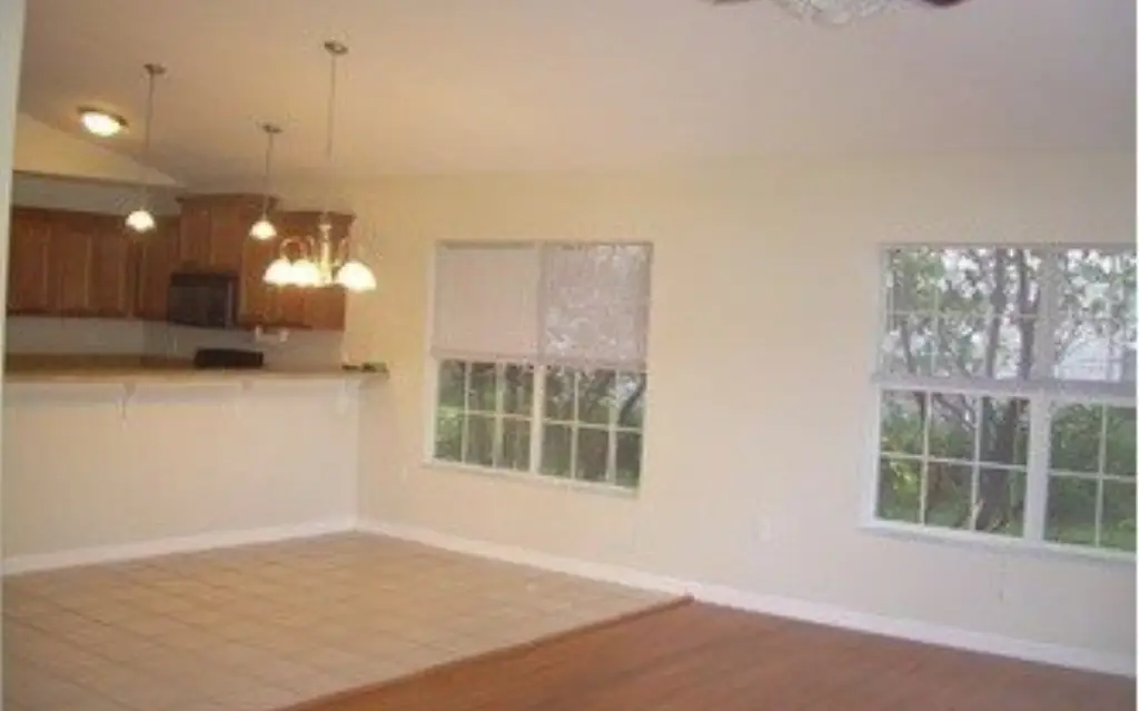 Picture 7