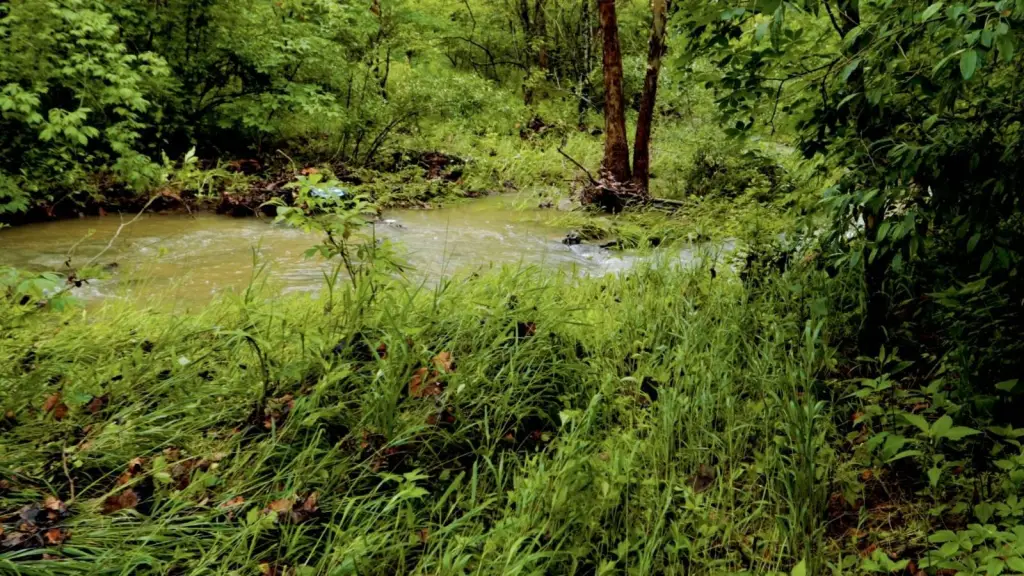 Picture 31