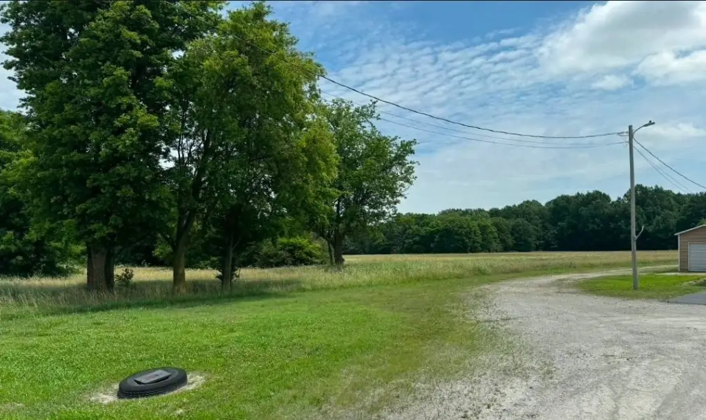 Picture 5