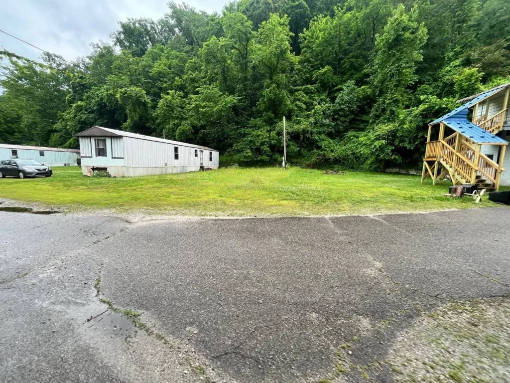 Picture 15