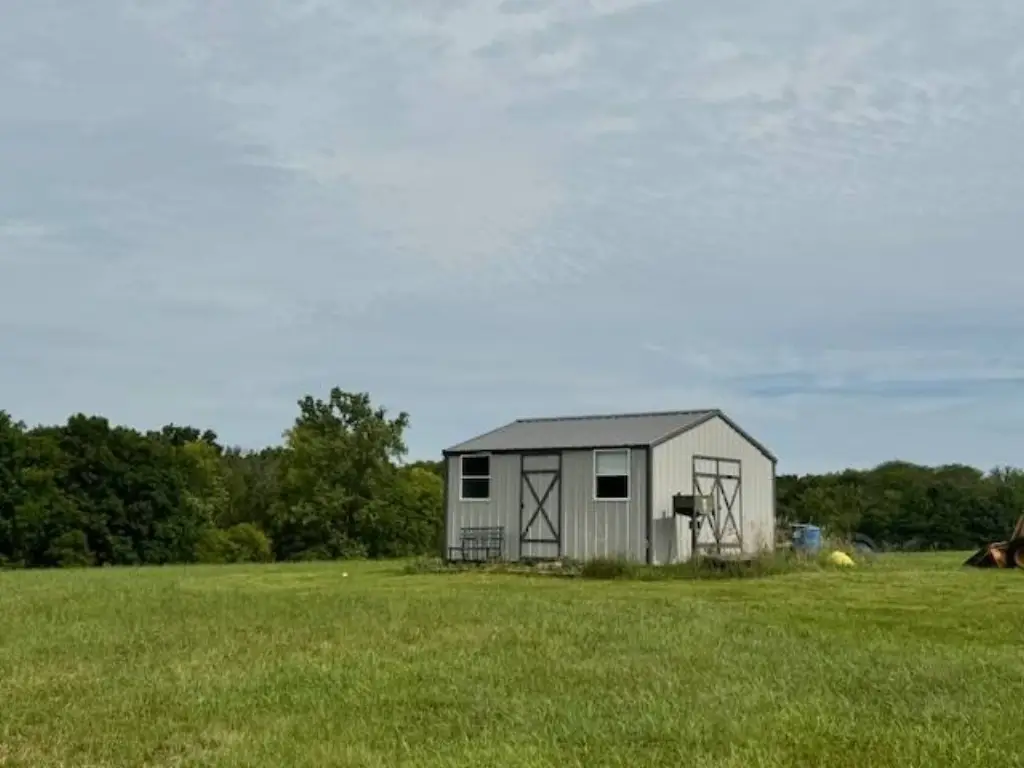 Picture 6