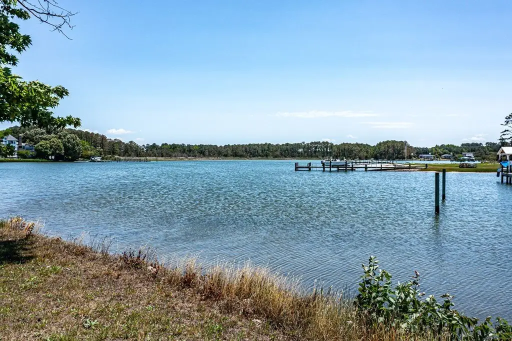 Picture 48