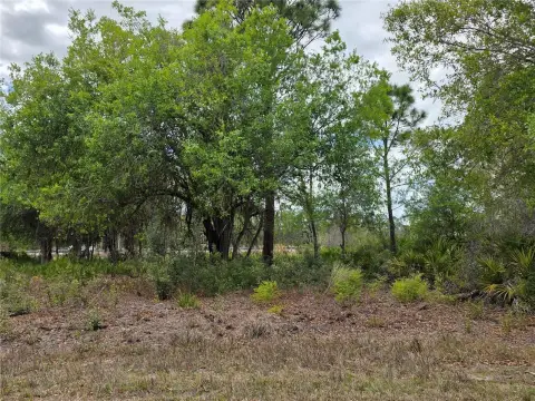 Residential Lot in Punta Gorda