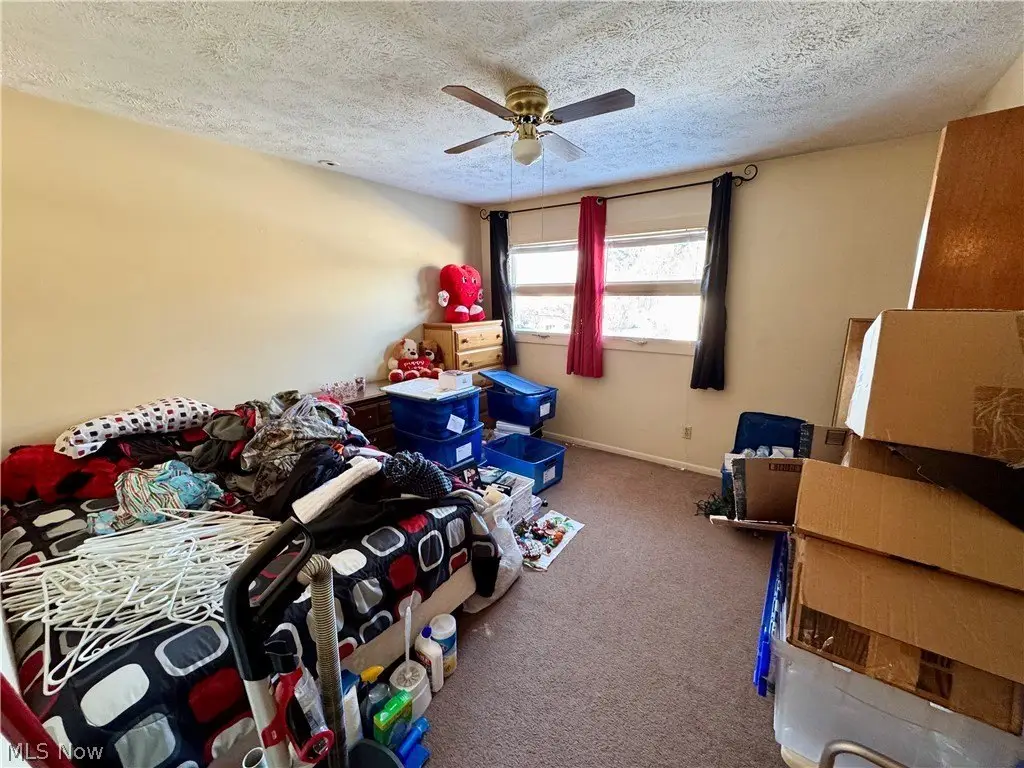 Picture 20