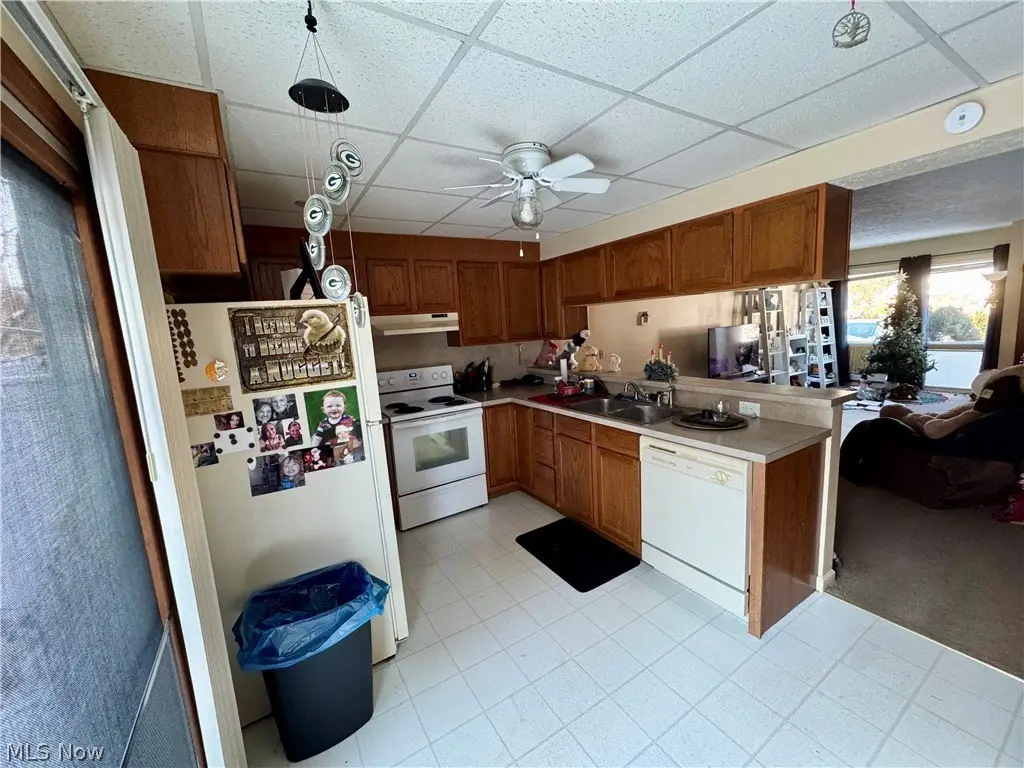 Picture 15