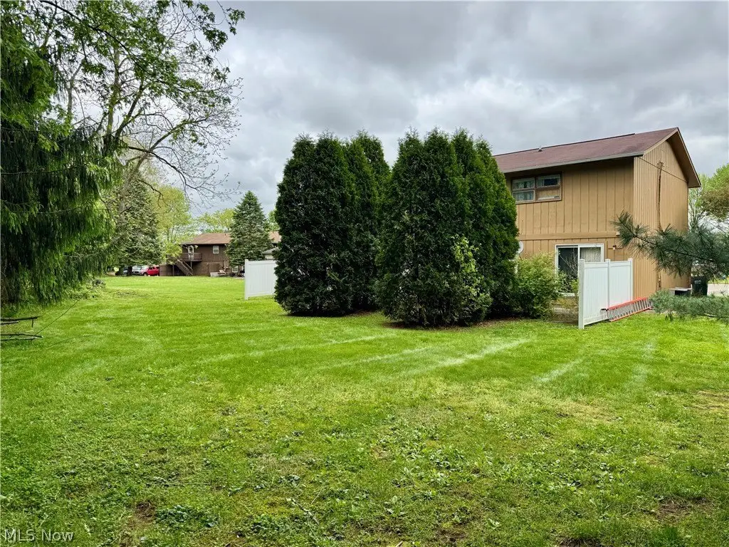 Picture 29