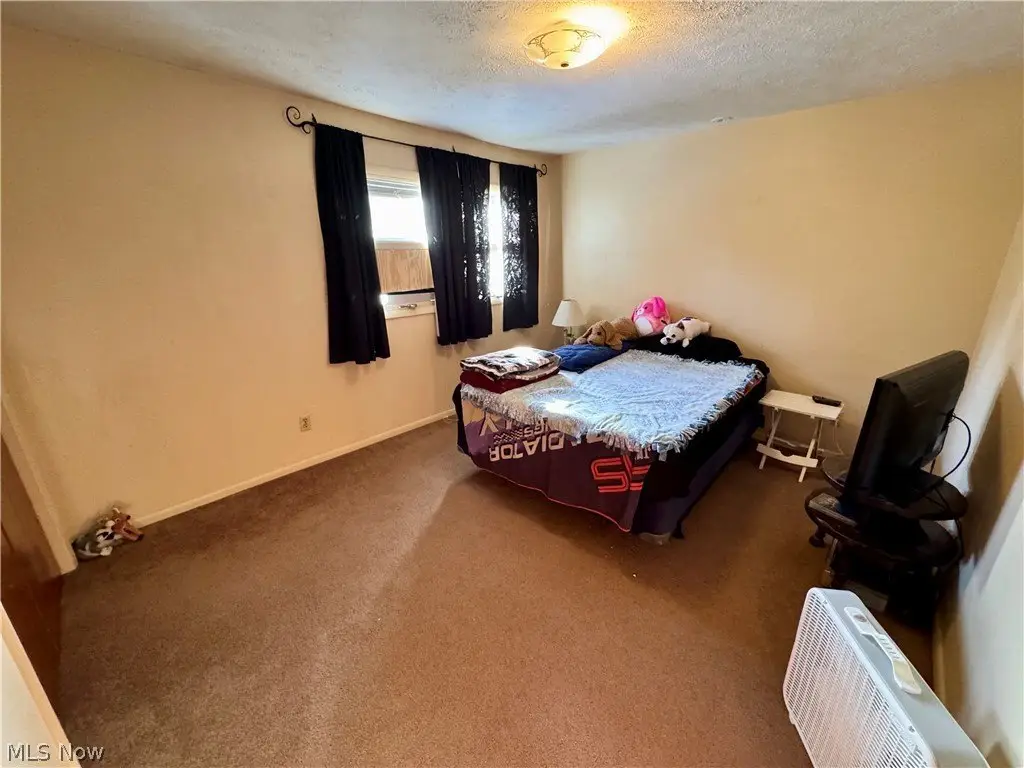 Picture 19