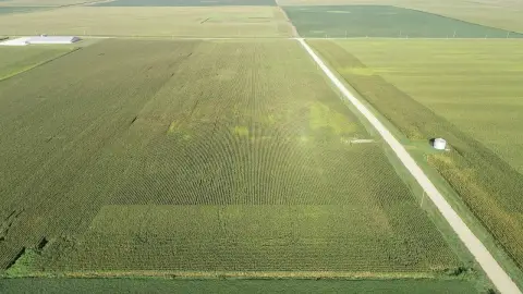Productive Farmland Near Lake City