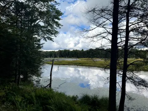 Adirondack Land with Black River Frontage
