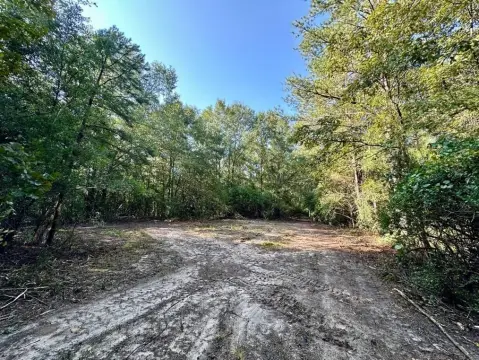 33 Acres of Wooded Land