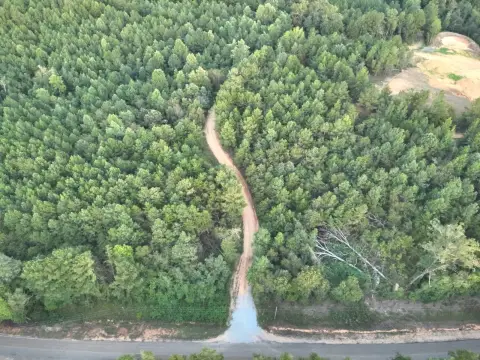 Tuscaloosa Land with Mineral Rights