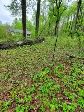 Residential Lots Near Shenandoah Park