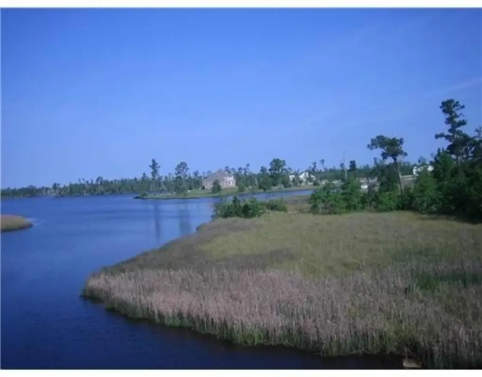 Picture 8