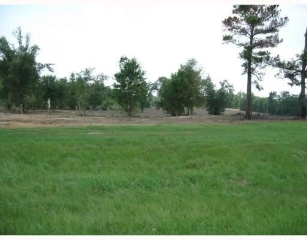 Picture 3