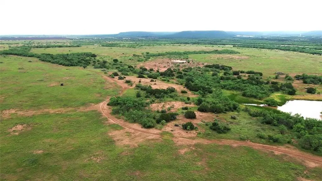 Picture 28