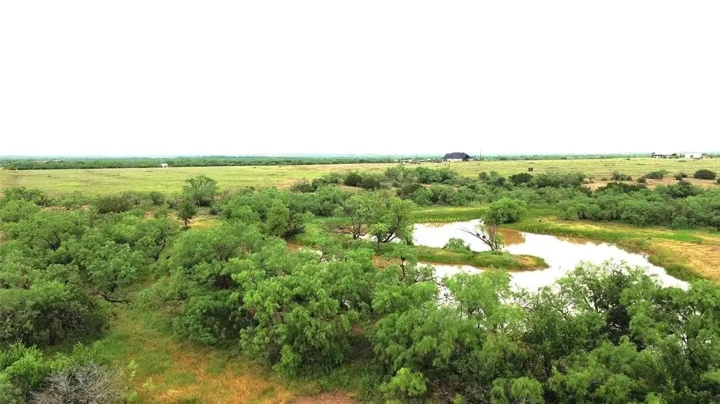 Picture 25